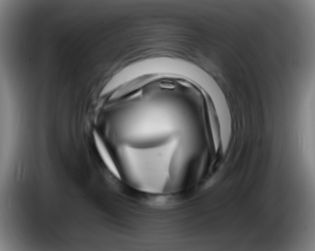 X0000085310382200703302028