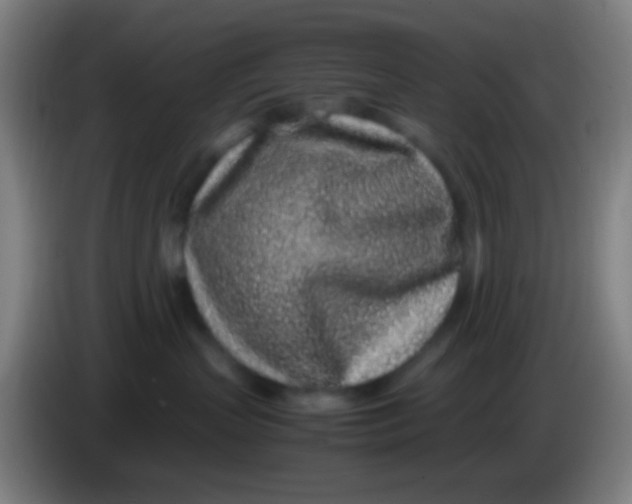 X0000085310383200703302028