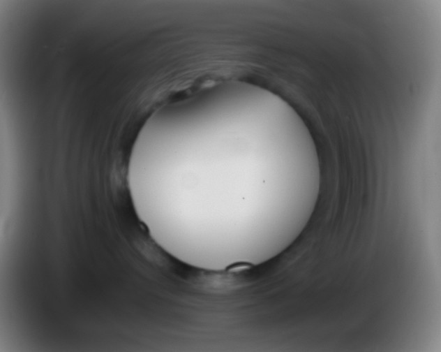 X0000085310384200703302028