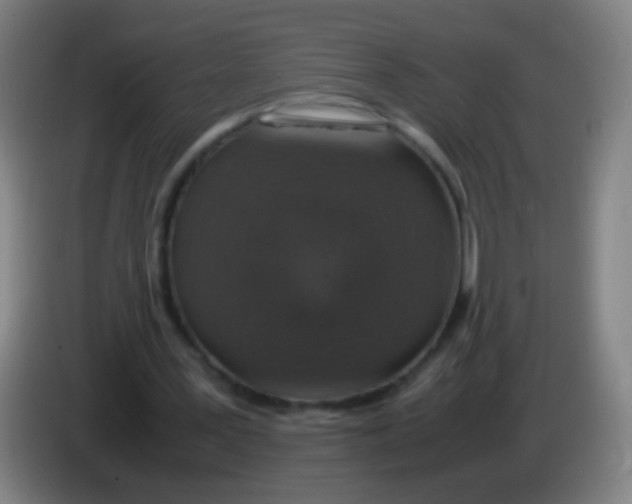 X0000085310387200703302027