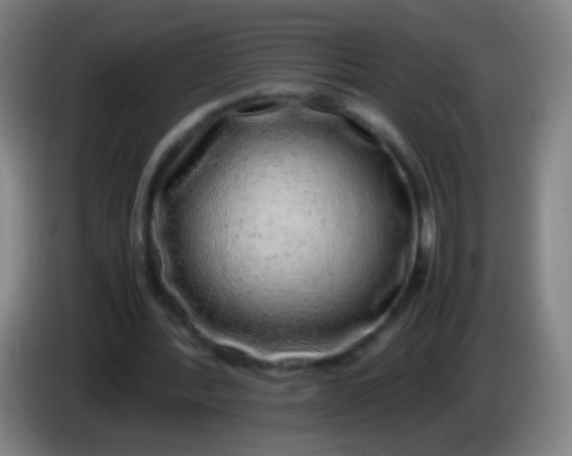 X0000085310388200703302027