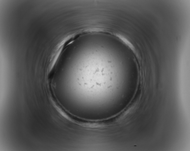 X0000085310389200703302027