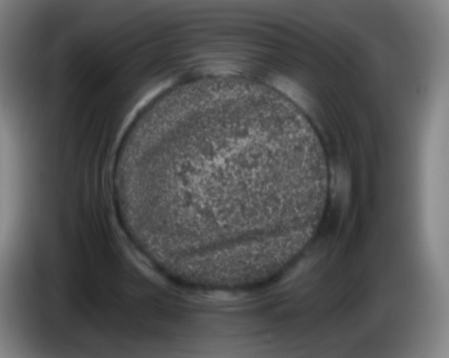 X0000085310390200703302027