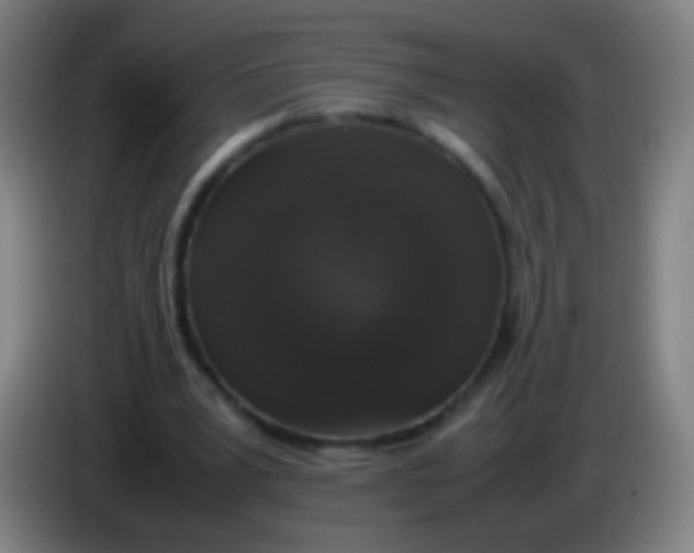 X0000085310391200703302027