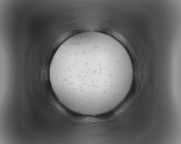 X0000085310393200703302027