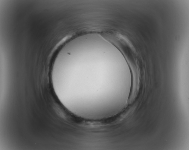 X0000085310395200703302027