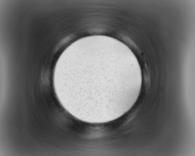 X0000085310396200703302027