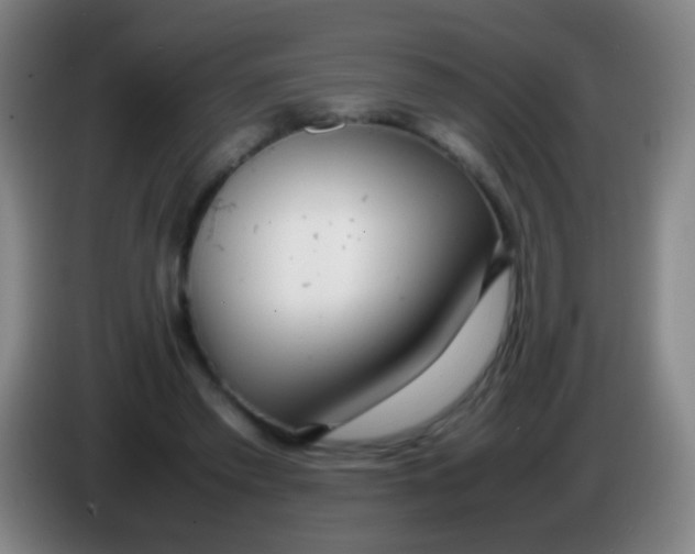 X0000085310397200703302027