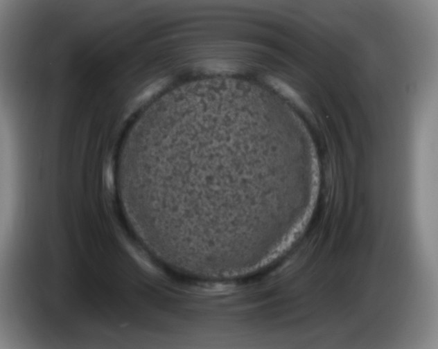 X0000085310398200703302027