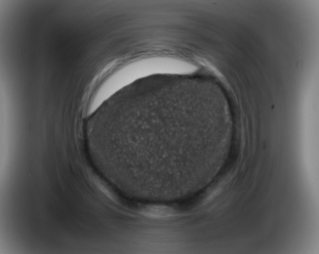 X0000085310399200703302027