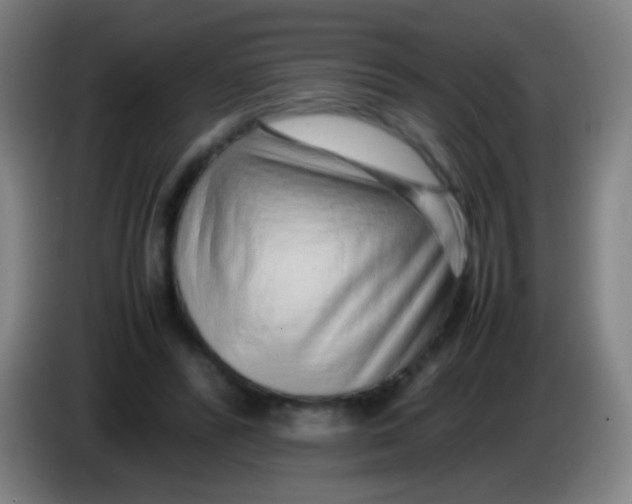 X0000085310400200703302027