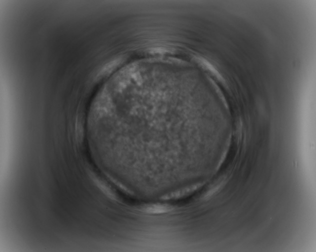 X0000085310402200703302027