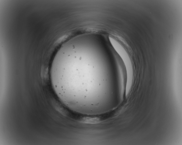 X0000085310403200703302027