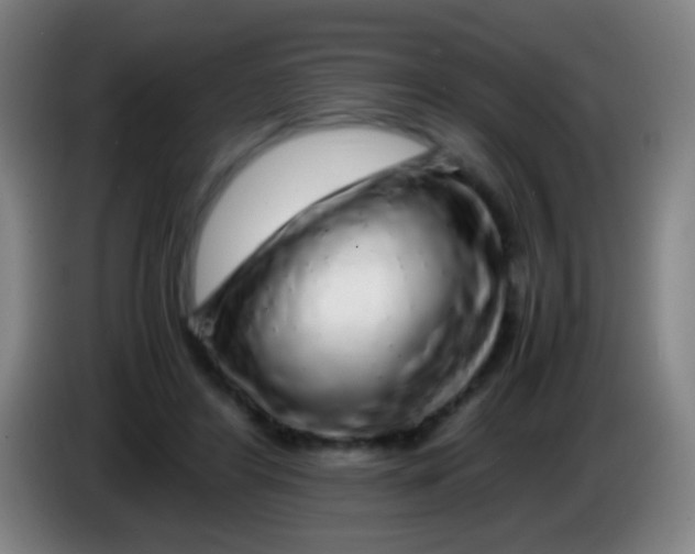 X0000085310404200703302027