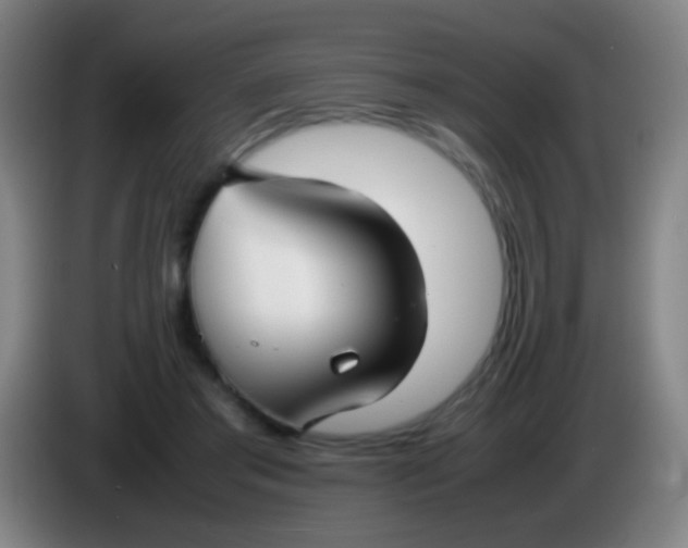 X0000085310405200703302027