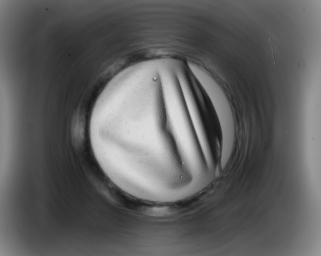 X0000085310406200703302027