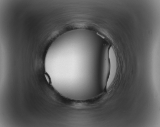 X0000085310407200703302027