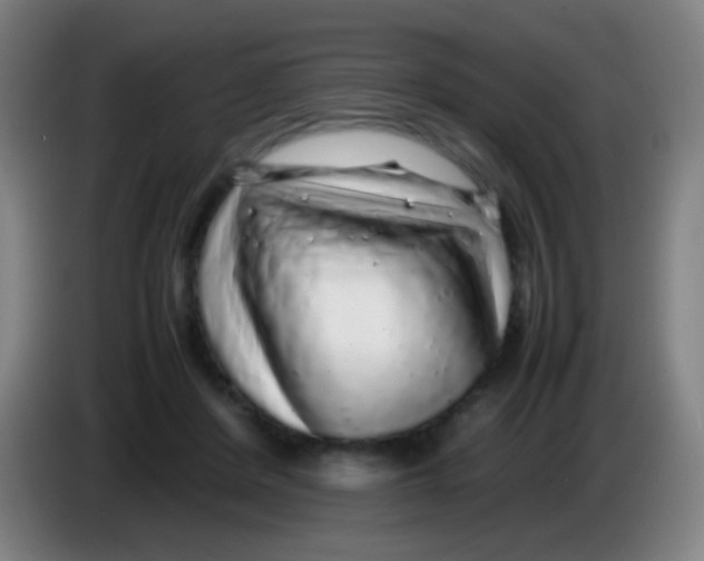 X0000085310408200703302027