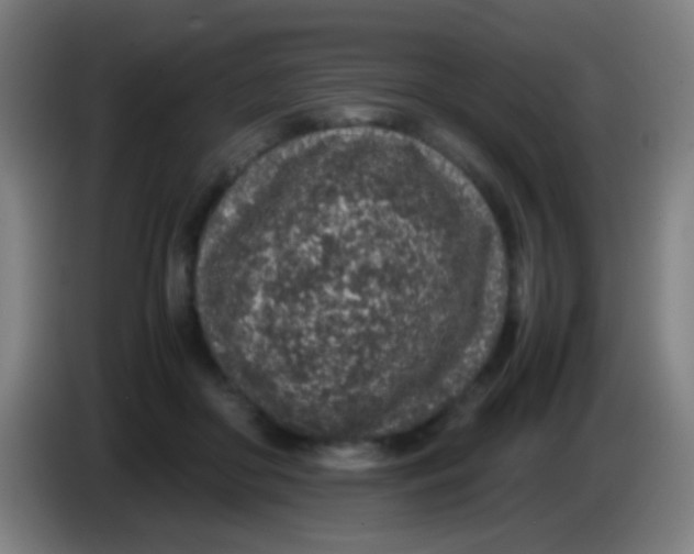 X0000085310410200703302027