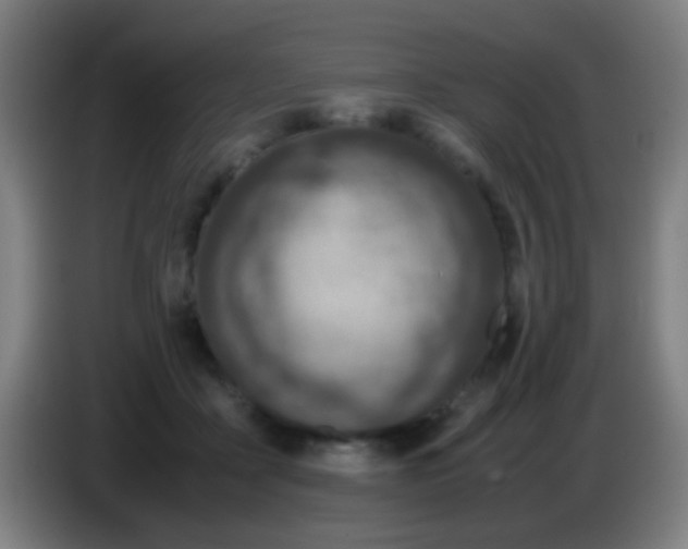 X0000085310411200703302027