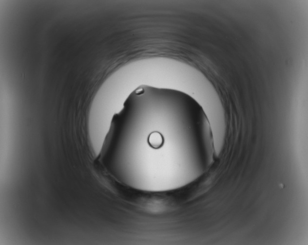 X0000085310412200703302027