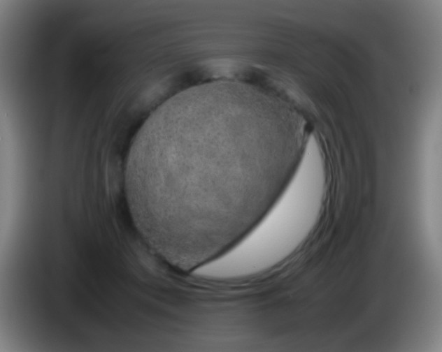 X0000085310413200703302027