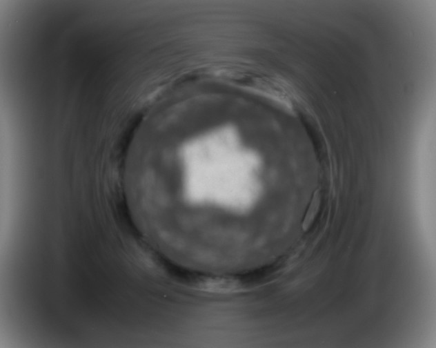 X0000085310415200703302027