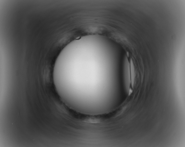 X0000085310416200703302027