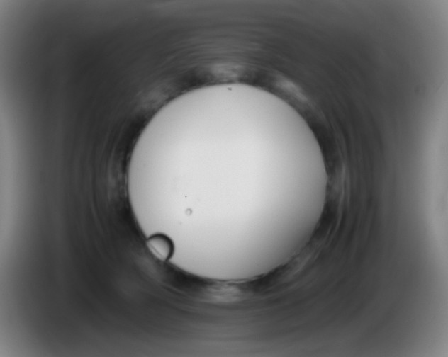 X0000085310418200703302027