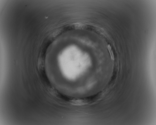 X0000085310419200703302027