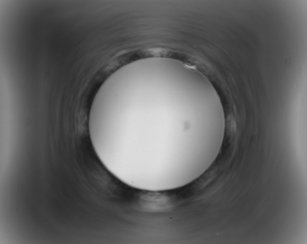 X0000085310421200703302027