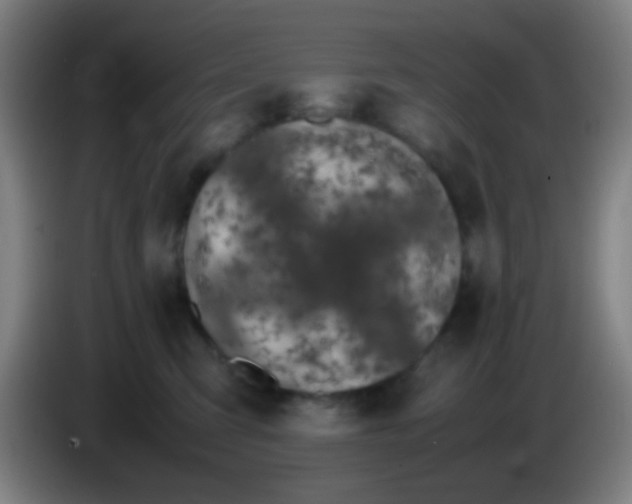 X0000085310423200703302027