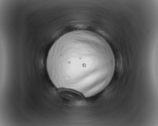 X0000085310424200703302027