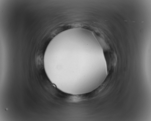 X0000085310425200703302027