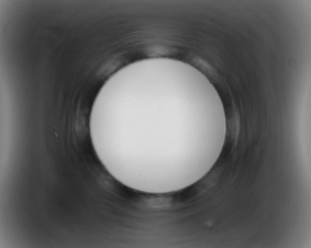 X0000085310426200703302027