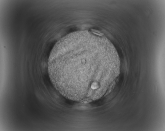 X0000085310427200703302027