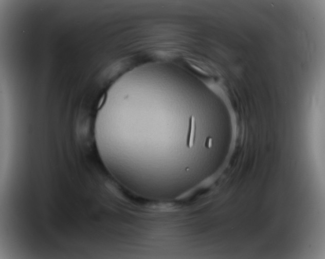 X0000085310428200703302027