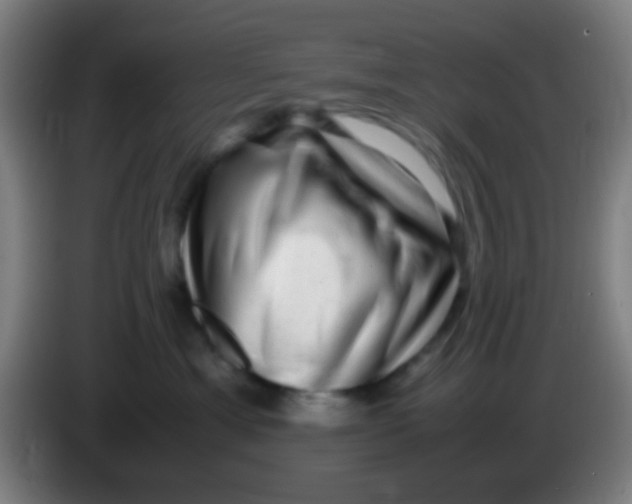 X0000085310429200703302027