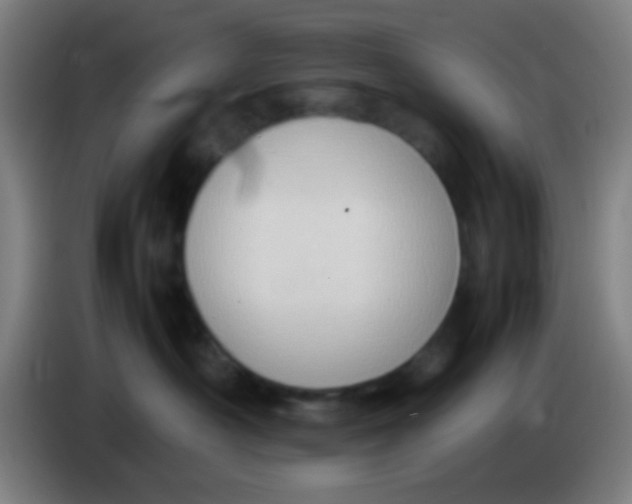 X0000085310430200703302027