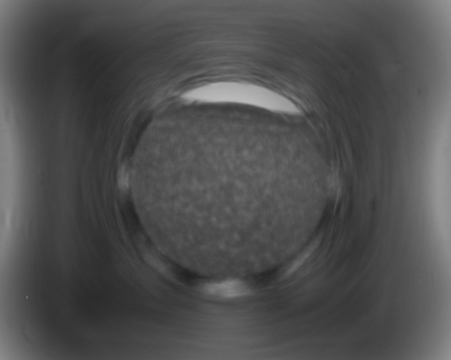 X0000085310431200703302026