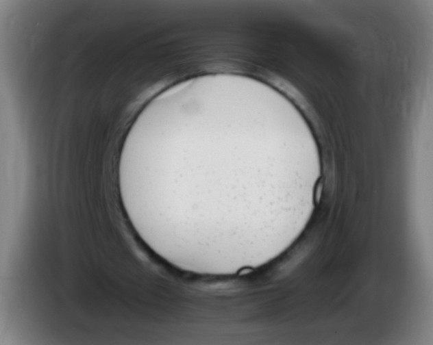 X0000085310433200703302026