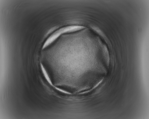 X0000085310434200703302026