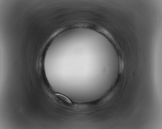 X0000085310435200703302026