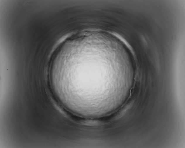 X0000085310437200703302026