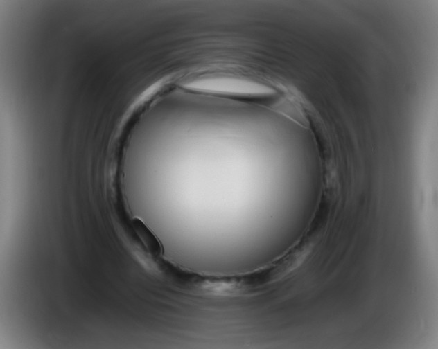 X0000085310440200703302026