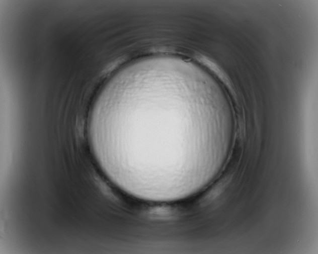 X0000085310441200703302026