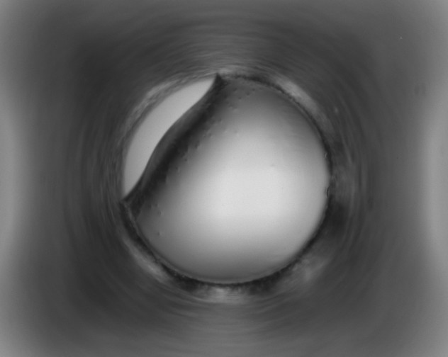 X0000085310442200703302026