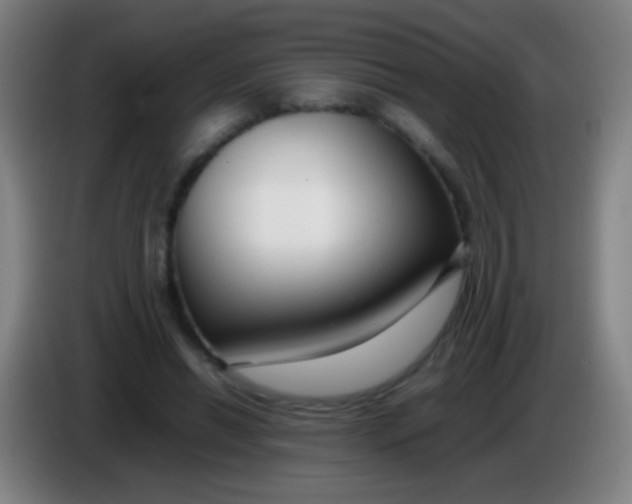 X0000085310446200703302026