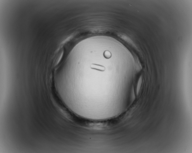 X0000085310448200703302026