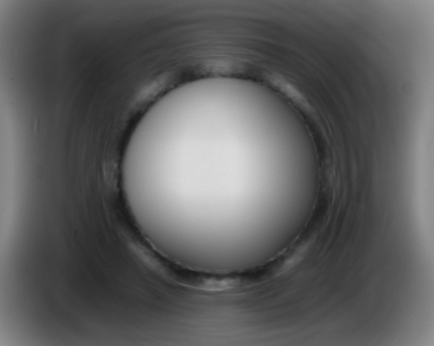 X0000085310450200703302026